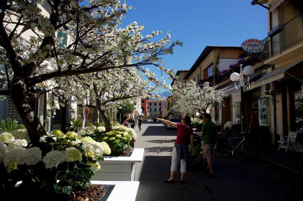 Golf Dei Marmi Forte dei Marmi